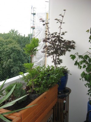 Balkon.jpg