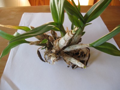 foto 021.jpg