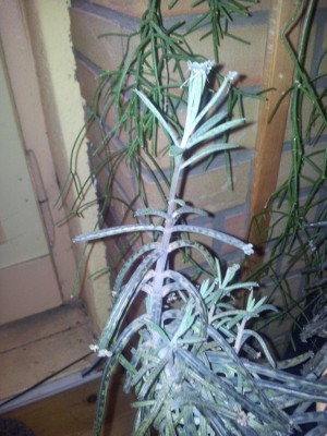20120408_154740.jpg