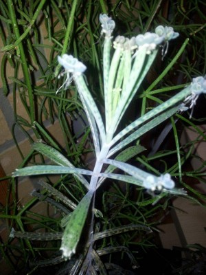 20120408_154705.jpg