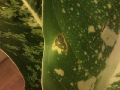 P120504_205755 777.jpg