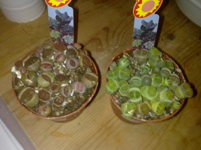 040520121325.jpg