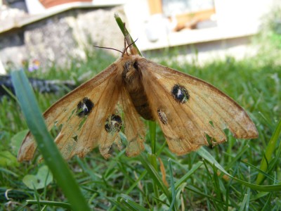 DSCF5502.jpg