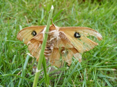 DSCF5499.jpg