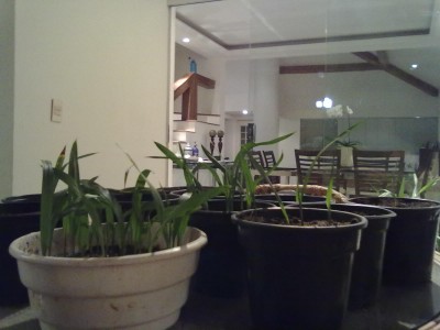 06052012283.jpg