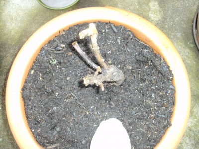 BILD0001.JPG