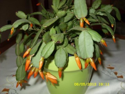 Photo5.jpg