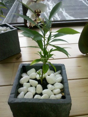 2012-05-09 19.19.03.jpg