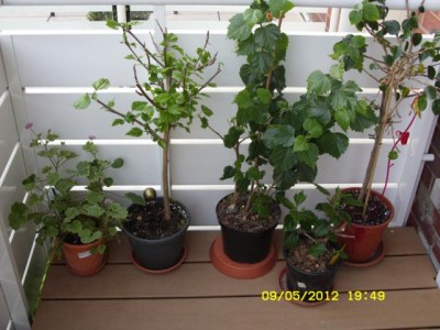 Photo22.jpg