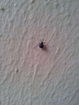 IMG-20120509-WA0001.jpg