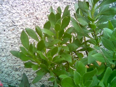 Bild002.jpg