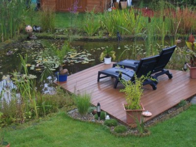 teich fertig.jpg