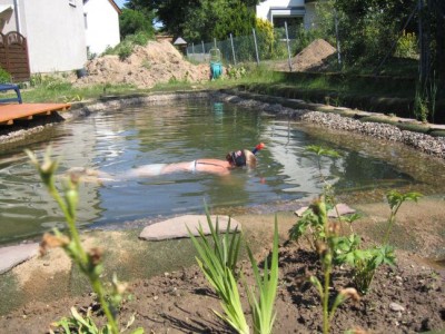 teich8.jpg