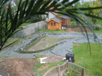 teich7.jpg