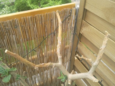 2012-05-11 14.59.15.jpg
