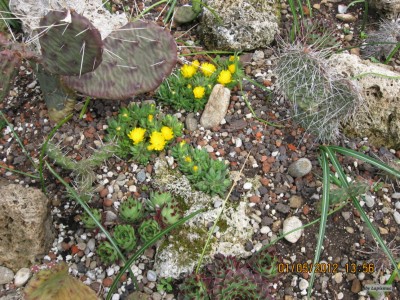 IMG_8352.JPG