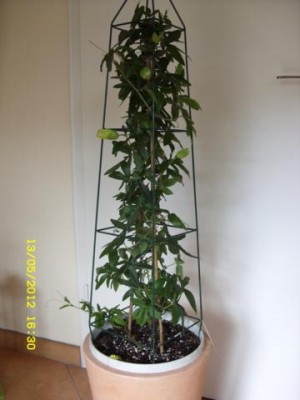 Photo3.jpg