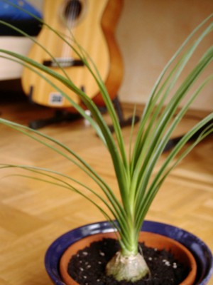JD400x003.JPG