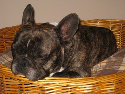 IMG_0003 - Kopie.JPG