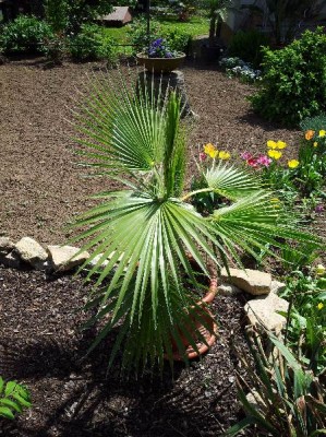20120511_135258_600x600_100KB.jpg