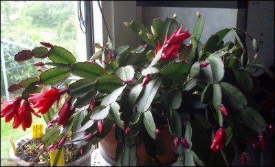 Ostern im Mai 2012.jpg