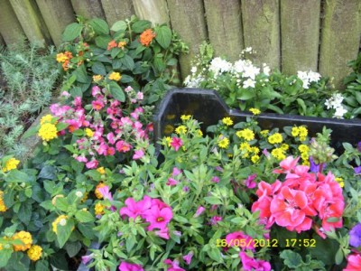 Photo11.jpg