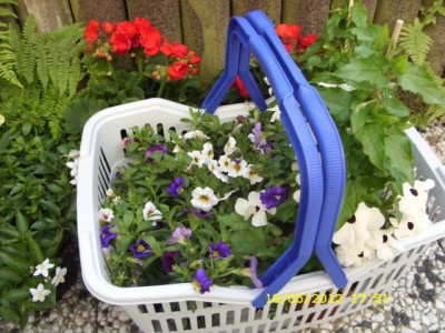 Photo8.jpg