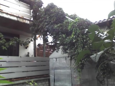 01-09-07_1328.jpg