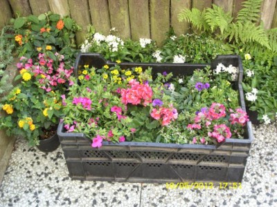 Photo9.jpg