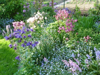 20120516 012 - Kopie (800x600).jpg