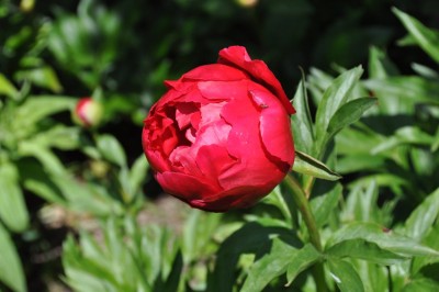 DSC_7624.JPG