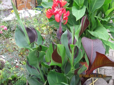 2011_7122.jpg