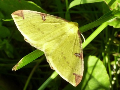 20120517 078 (800x600).jpg