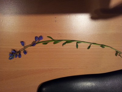 20120517_211705.jpg
