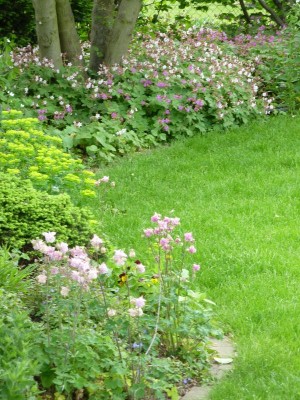 20120517 020 - Kopie (600x800).jpg