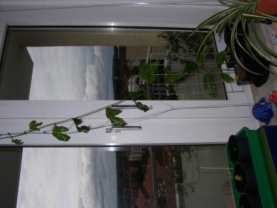 P9020124.JPG