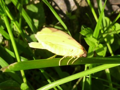 20120517 059 - Kopie (800x600).jpg