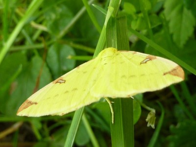 20120517 052 - Kopie (800x600).jpg