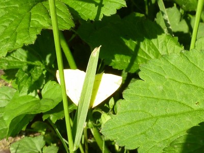 20120517 044 - Kopie (800x600).jpg