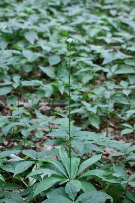 XMG_006_7653_1.jpg