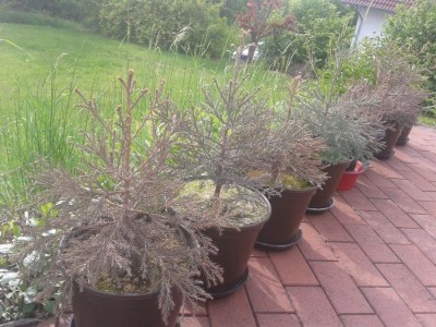 2012-05-14 17.37.25.jpg
