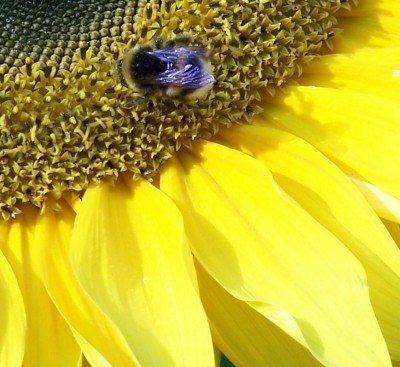 Foto 004a.jpg