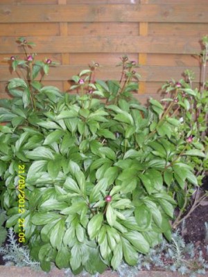 Photo5.jpg