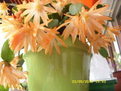 Photo5.jpg