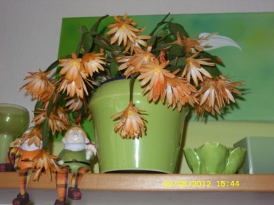 Photo8.jpg