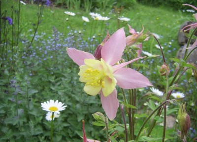 PIC_0097 (640x461).jpg