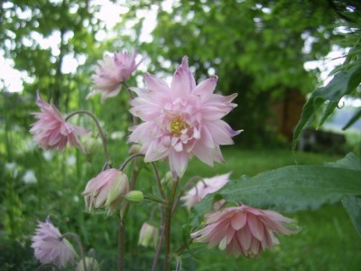 PIC_0083 (640x480).jpg