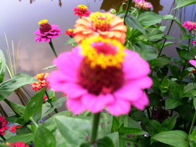 PICT0422.JPG