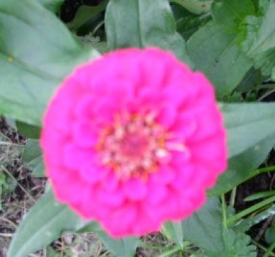 PICT0421.JPG
