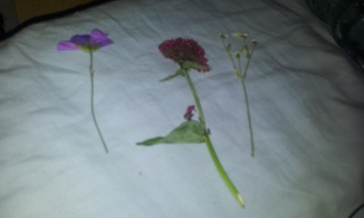 20120523_220619.jpg